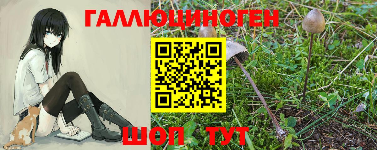 Галлюциногенные грибы мицелий Шатура