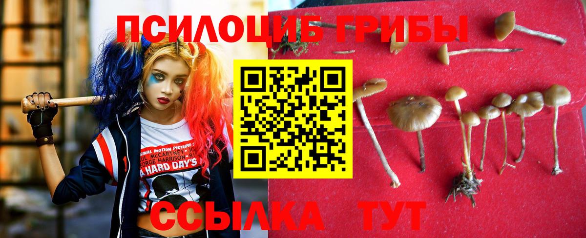 Галлюциногенные грибы прущие грибы  Вход с VPN  Шатура 